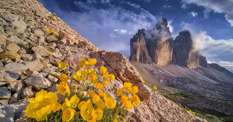 Қауіпті әрі әдемі: әлемдегі таңғажайып тау пейзаждары фото