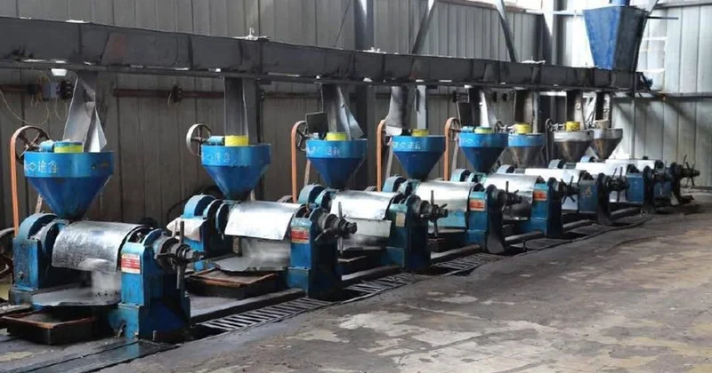 Завод по переработке масличных культур запустили в Туркестанской области