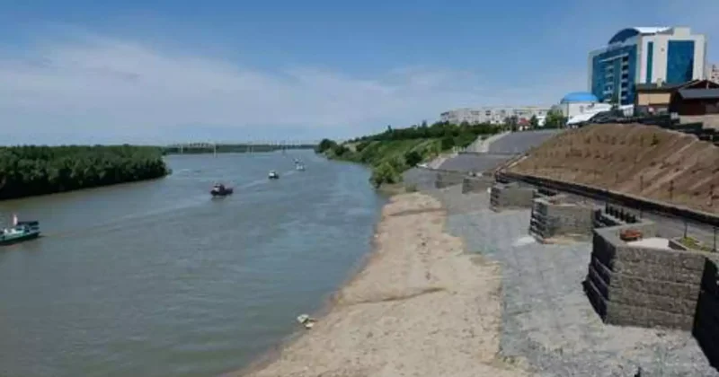 Ертіске 260 мың бекіре жіберіледі