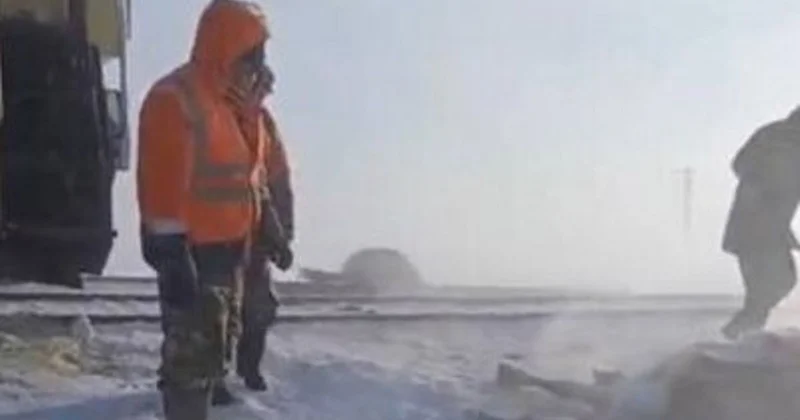 Поезд сбил 11 лошадей в Акмолинской области