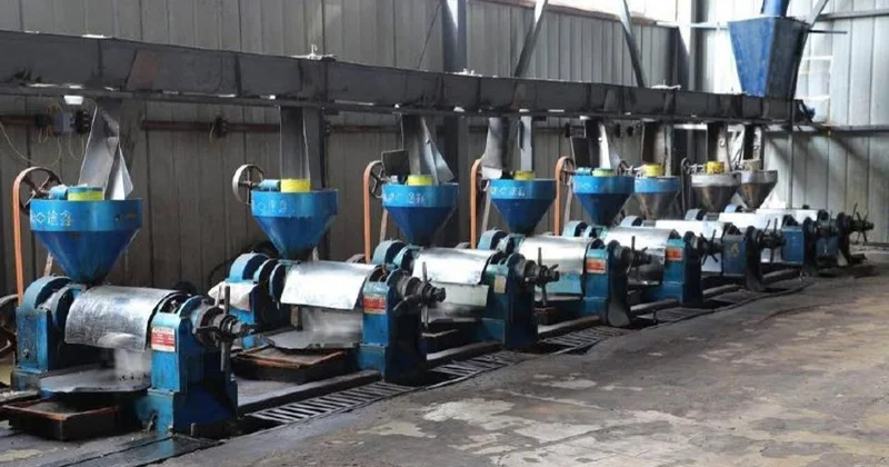 Түркістан облысында майлы дақылдарды өңдейтін зауыт іске қосылды