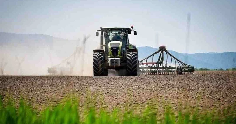 Алматы облысында 438 мың гектар жерге егін егу жоспарланып отыр