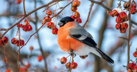 Погода без осадков ожидается в южных регионах Казахстана