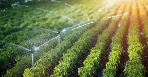 Незаконный полив сельхозземель в Казахстане будут выявлять из космоса