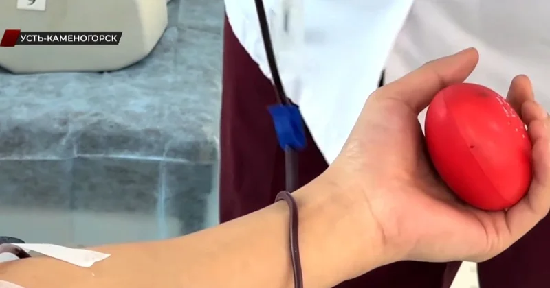 Выплаты для доноров крови и плазмы выросли в несколько раз в одном из регионов Казахстана (видео)