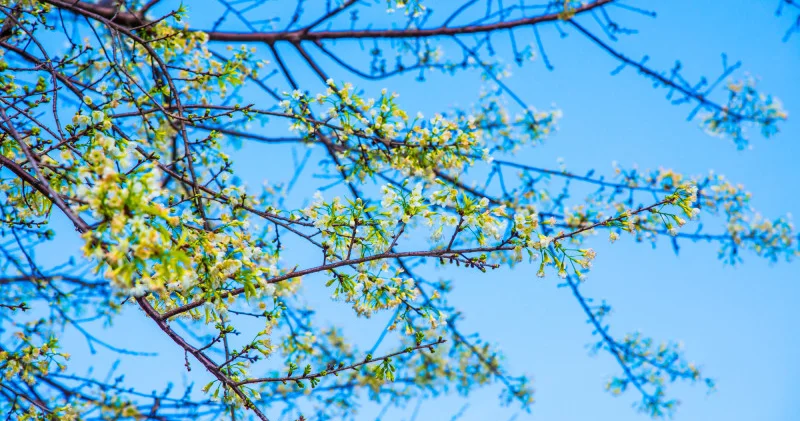 Қазақстанда қашан күн жылынады?