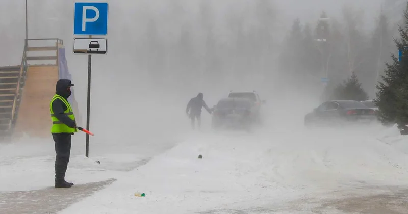 Павлодарда боранда мал іздеуге шыққан ер адам үсікке ұрынып, көз жұмды