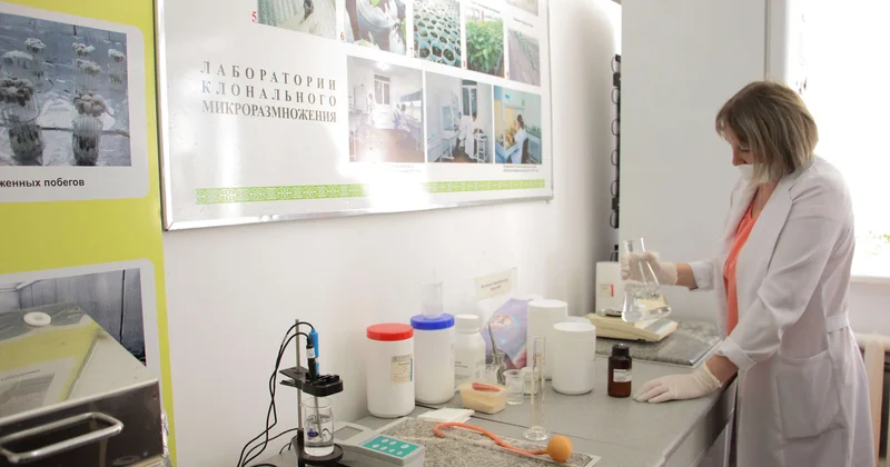 Потенциал научных возможностей