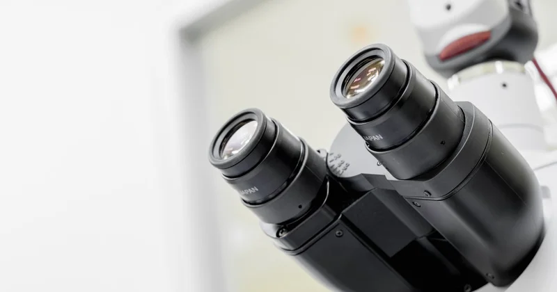 День науки: какие результаты уже демонстрирует казахстанская наука