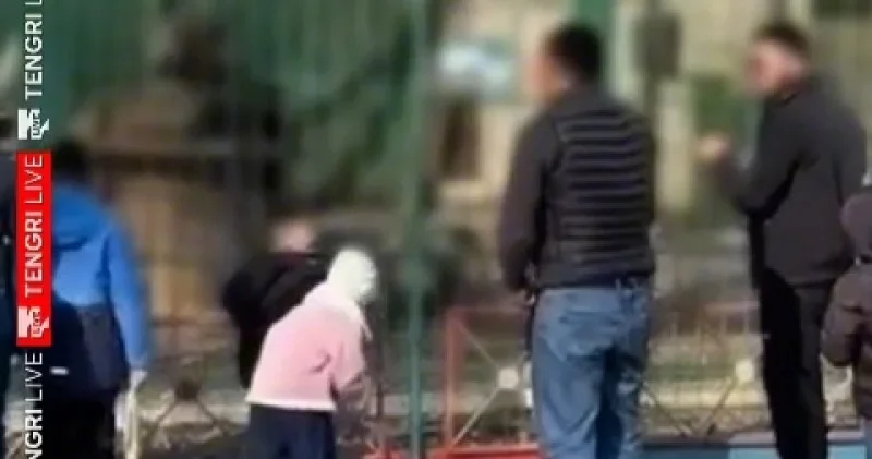 Семейде ересектер балалардың көзінше арыстандардың қоршауын таспен атқылады