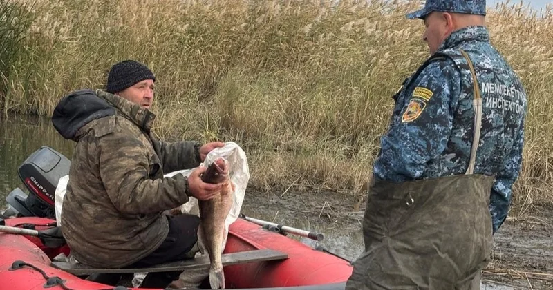 Балық аулауға уақытша тыйым: биыл не өзгереді