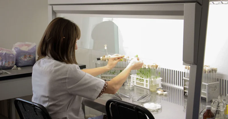 425 научных организаций и новое поколение ученых: как развивается отрасль