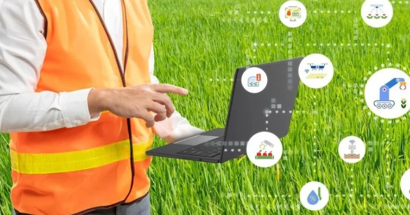 Қазақстанда егіс науқанының мониторингі үшін ЖИ элементтері бар цифрлық платформа енгізілуде