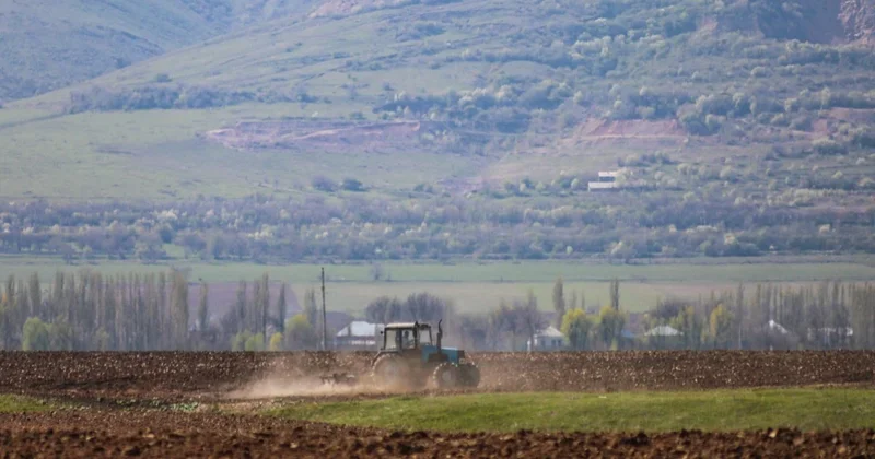 Впервые по лимиту воды: что будут сеять в Казахстане в 2026 году
