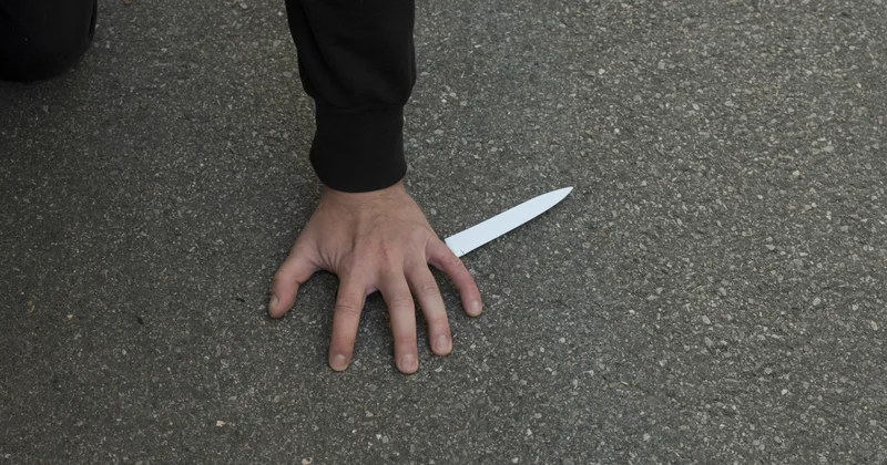 Заңгерлер аса қатыгездікпен жасалған кісі өлтіру бойынша күдікті 13 жасар жасөспірімнің қалай жазалануы мүмкін екенін айтты