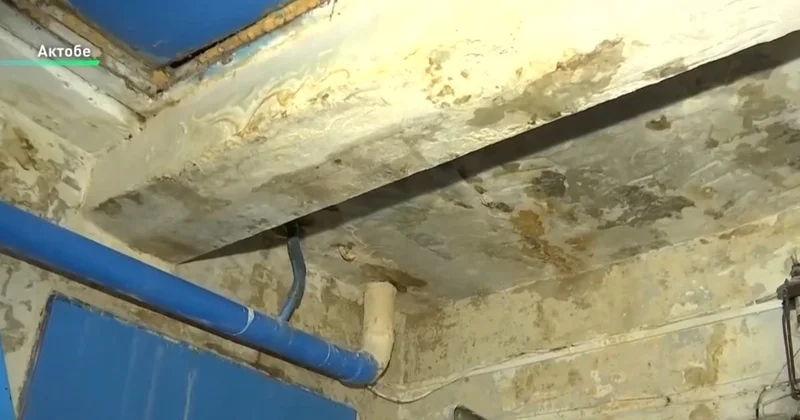 Ақтөбедегі бес қабатты үйдің тұрғындары жаңбыр суын жинап, түнде ұйықтамай жүр