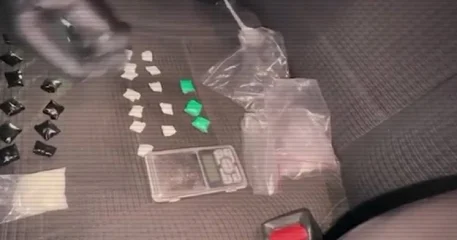 В области Жетысу задержали восемь участников наркогруппы