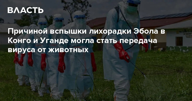 Причиной вспышки лихорадки Эбола в Конго и Уганде могла стать передача вируса от животных Аналитический интернет журнал Власть