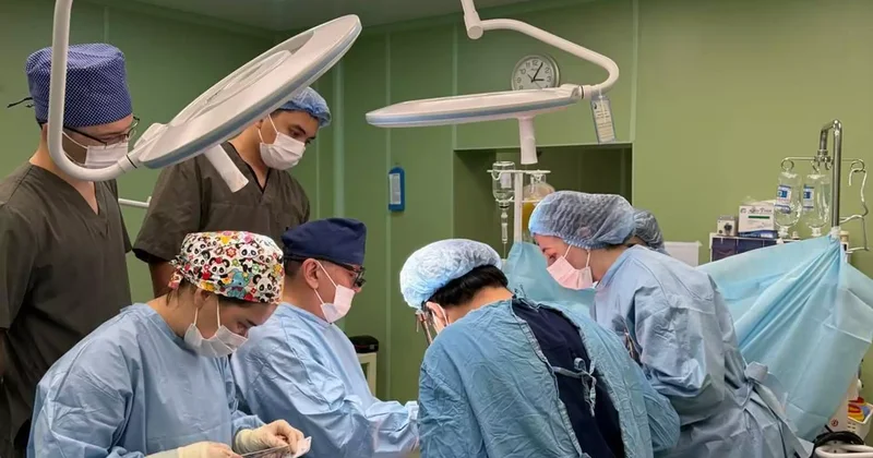 Астанада бір донор үш адамға өмір сыйлады
