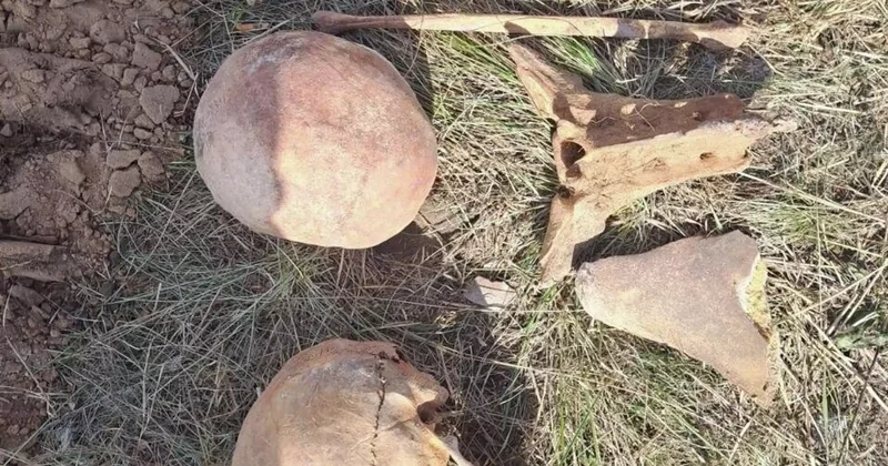 Солтүстік Қазақстанда адам сүйектері табылды