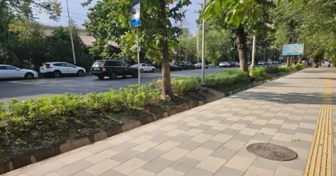 Зеленые зоны расширят в Алматы