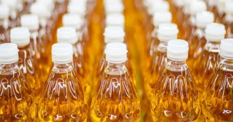 Казахстан увеличит экспорт масложировых продуктов к 2028 году