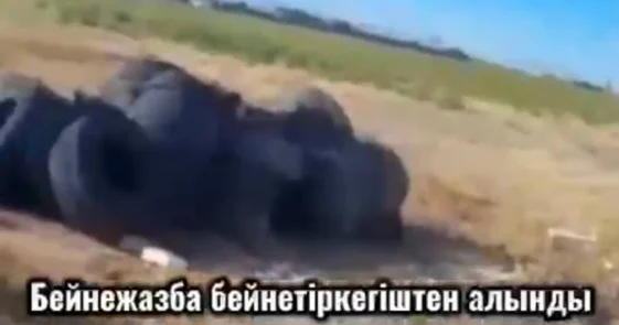 Около 8 тонн старых шин вывезли на мусорный полигон в Туркестанской области