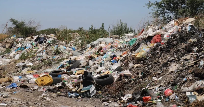 Шығыс Қазақстанда бірден 12 әкім жазаланды