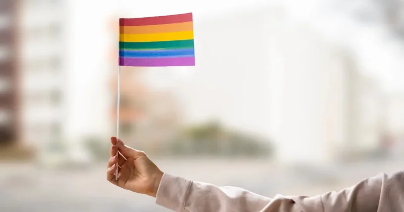 "Защищает от деструктивной идеологии". Законодательный запрет на пропаганду ЛГБТ объяснили депутаты