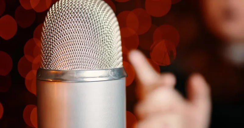 Мажилис поддержал поправки сената о запрете фонограмм на концертах