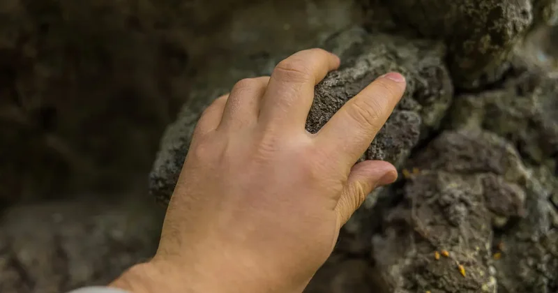 Единый портал недропользования и новые правила лицензирования: законопроект одобрил мажилис