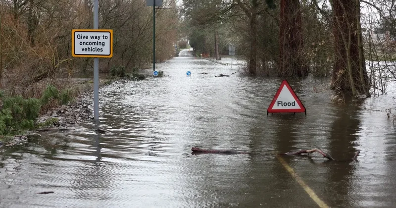 Садовое общество затопило нечистотами в Костанае
