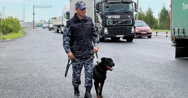 Собака помогла за пять минут задержать подозреваемого в Астане