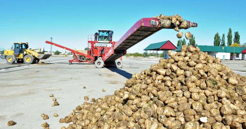 Мощность завода увеличат вдвое