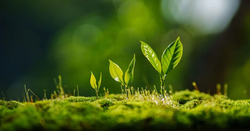 Биоразнообразие и низкоуглеродная экономика: Казахстан совершенствует подходы в сфере экологии