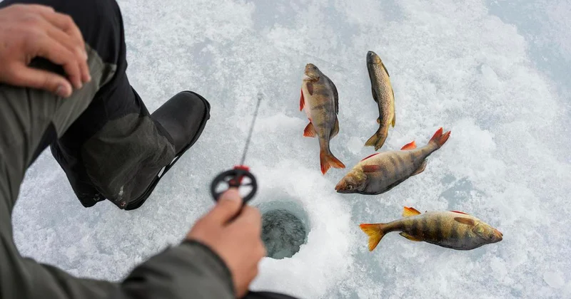 Рыбалка закончилась трагедией в Акмолинской области