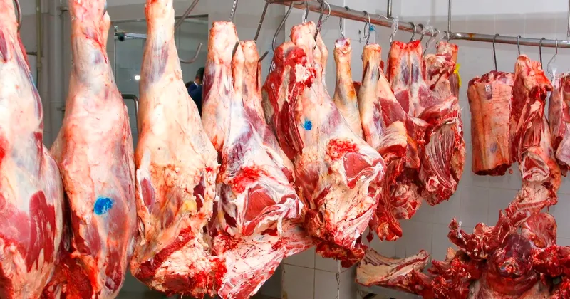 Не боятся штрафа: ужесточить наказание за продажу непроверенного мяса намерены в Минсельхозе