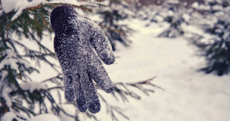 Құтқарушылар жоғалған малшыны тапты