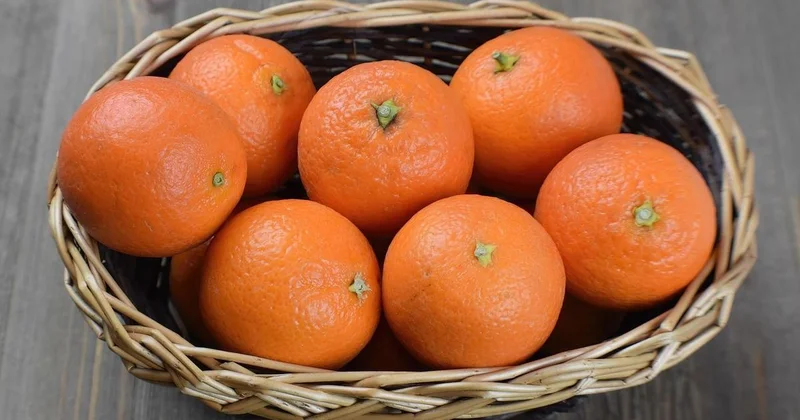Сколько мандаринов в день можно съесть, чтобы не навредить здоровью