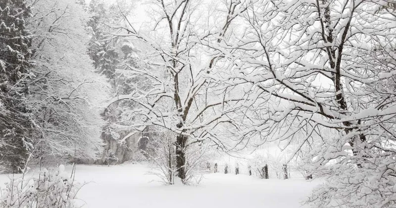 Снег, метель и гололед: штормовое предупреждение объявлено почти во всех регионах РК