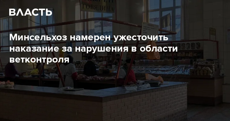 Минсельхоз намерен ужесточить наказание за нарушения в области ветконтроля Аналитический интернет журнал Власть