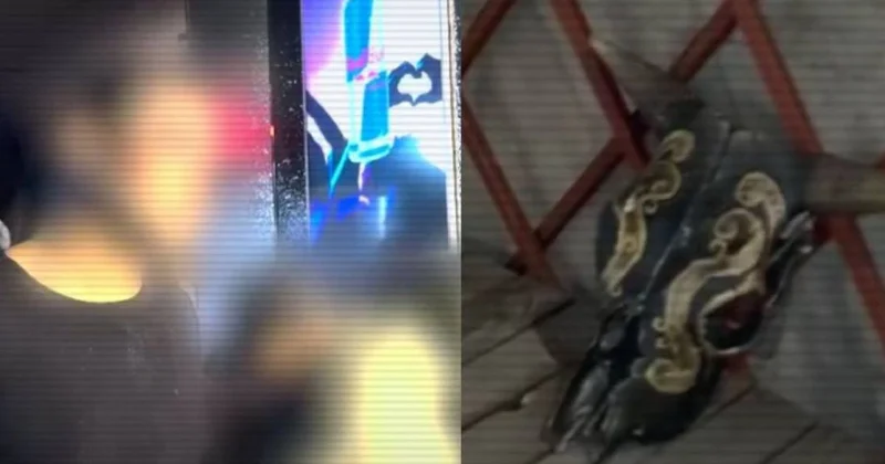 Притон, элиталық эскорт , діни топтар: ІІМ адам саудасының жаңа деректерін анықтады