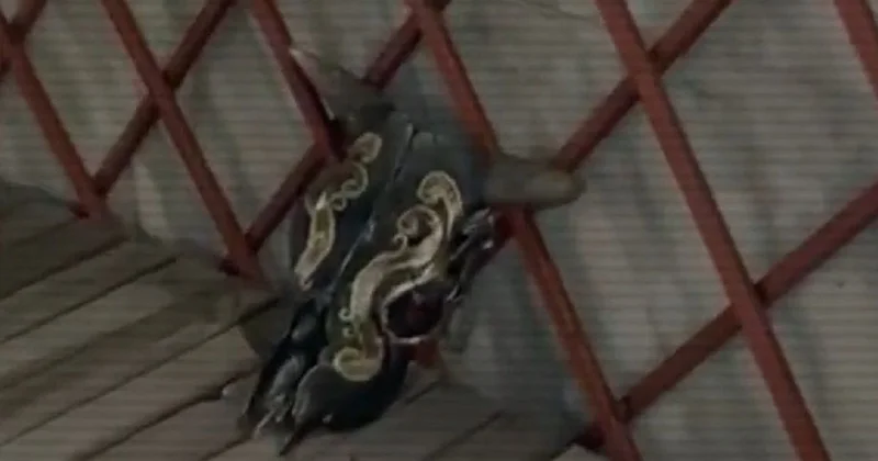 Беспорядочные половые связи пропагандировали в Казахстане