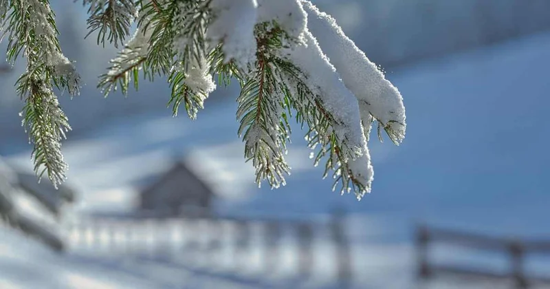 Алматы накроет снегом, Астану метель и мороз