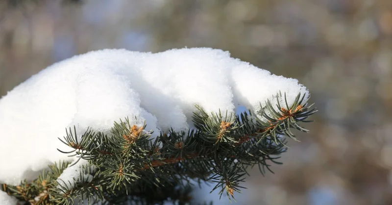 Мощный циклон надвигается на Казахстан