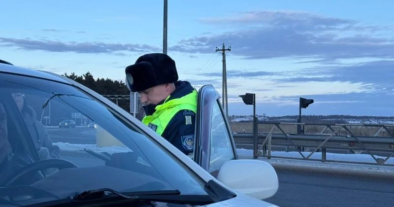 СҚО да үш күнде көлігіне жалған нөмір таққан 4 адам ұсталды