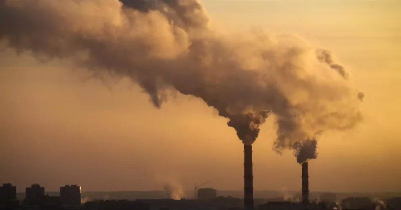 Жамбыл облысында табиғатты ластаған кәсіпорын 54 млн теңге айыппұл арқалады