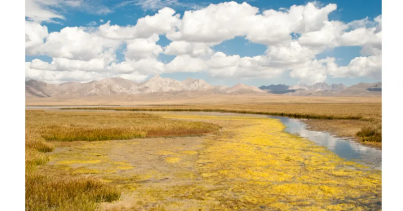 Vogue басылымы Қазақстанды 2025 жылғы ең үздік 14 бағытқа қосты