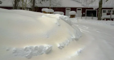 Жители востока Казахстана делятся в соцсетях видео с выпавшим желтым снегом