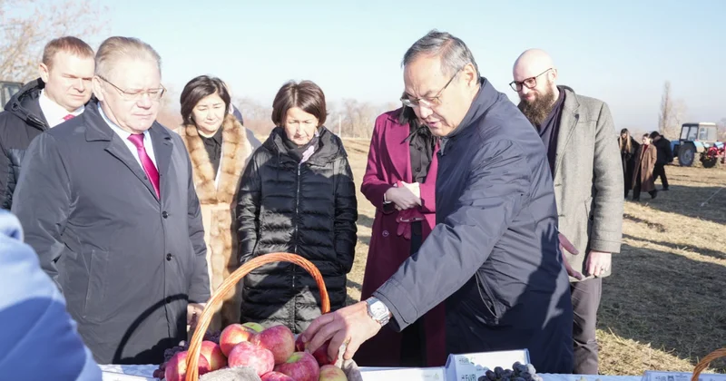 Тежеу мен демеу